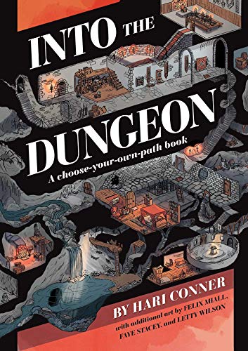 Book cover showing a complex, isometric dungeon map with multiple rooms and paths.
