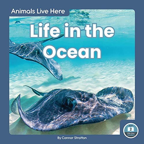 Book cover featuring two stingrays swimming in blue ocean water.