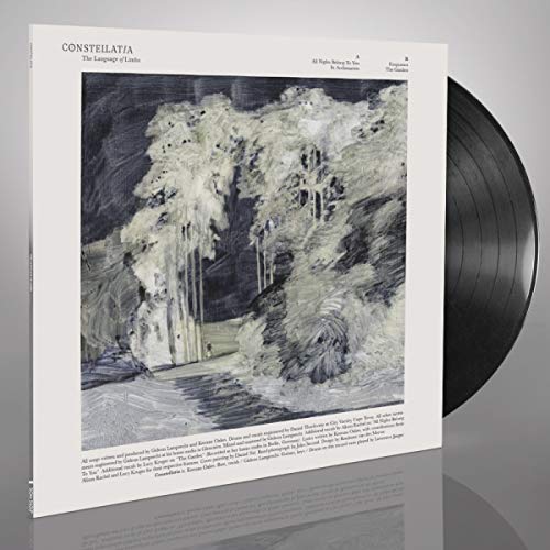 Vinyl album cover for Constellatia’s “The Language Of Limbs” featuring a painted forest.