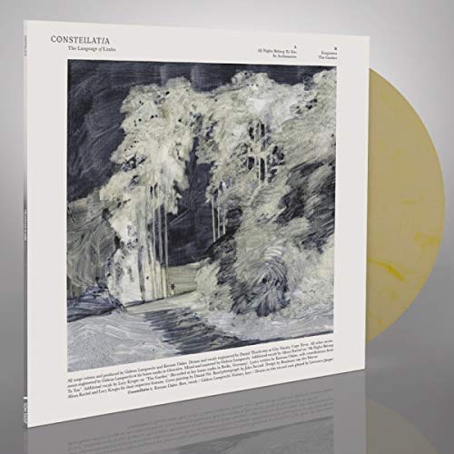 Vinyl record album cover with a forest scene and a yellow vinyl disc.