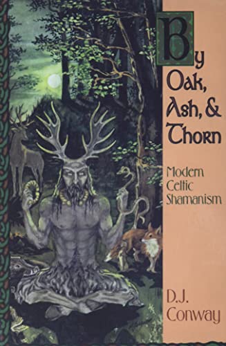 Book cover featuring a horned shaman figure in a dark forest with animals.