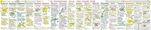 Colorful chart displaying various essential oils and their corresponding plants.
