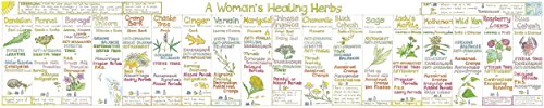 Colorful chart displaying illustrations and information about women’s healing herbs.