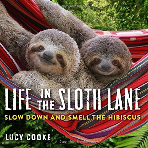 Two sloths relax in a colorful hammock, book cover titled "Life in the Sloth Lane".