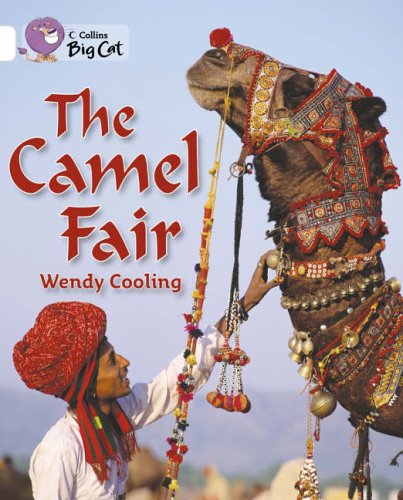 Book cover: decorated camel and man in traditional Indian clothing.