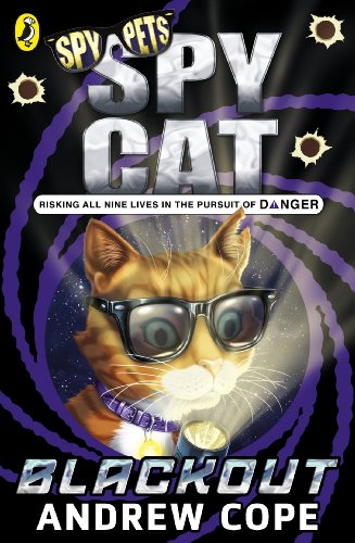 Book cover: orange tabby cat wearing sunglasses and holding a flashlight.