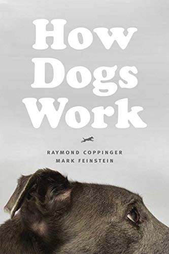 Book cover: "How Dogs Work" with a dog’s head in the foreground.