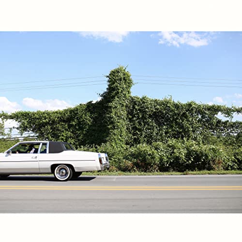 CD cover: white classic car parked by overgrown greenery under a blue sky.