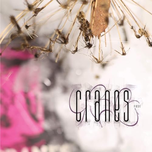 CD cover for Cranes’ “Fuse” featuring dried seed heads and pink blur.