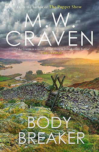 Book cover: landscape with stone wall, ladder, and dramatic sky.