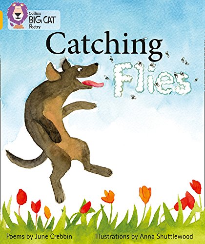 Dog jumping for flies above red tulips, book cover illustration.