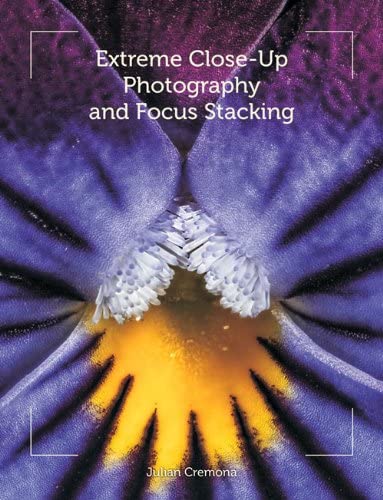 Book cover featuring a detailed, extreme close-up of a purple pansy.