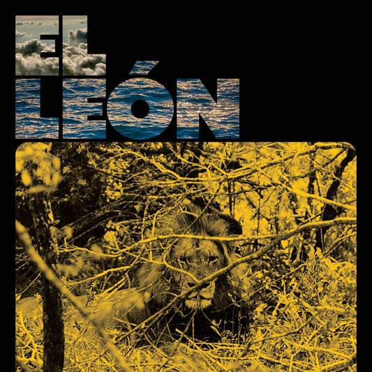 Album cover: lion in foliage with ocean and cloudy sky backdrop.