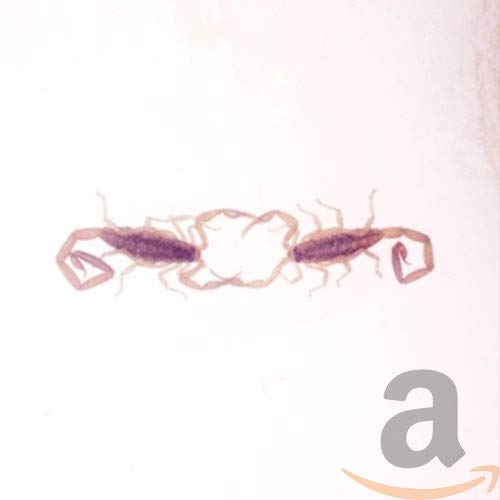 CD cover with a faded, abstract image of two scorpions.
