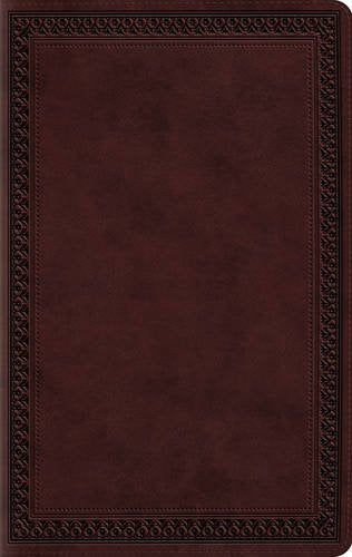 A dark brown, leather-textured Bible cover with a decorative embossed border.