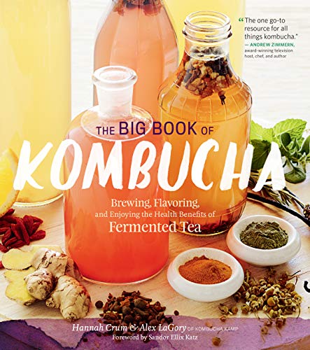 Book cover featuring kombucha in a glass jar with ginger and spices.