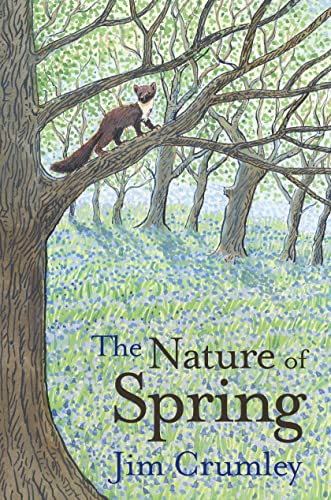 Book cover depicting a weasel in trees over a bluebell meadow.