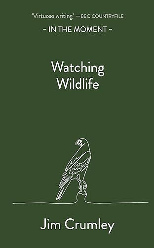 Book cover with green background, white text, and a white line-art drawing of a bird.