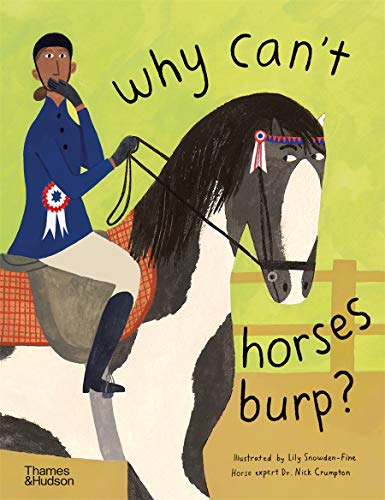 Book cover with illustration of a rider on a black and white horse.