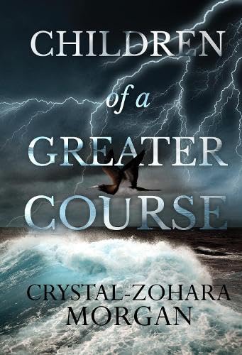 Book cover with lightning, a bird, and crashing waves with the title text.