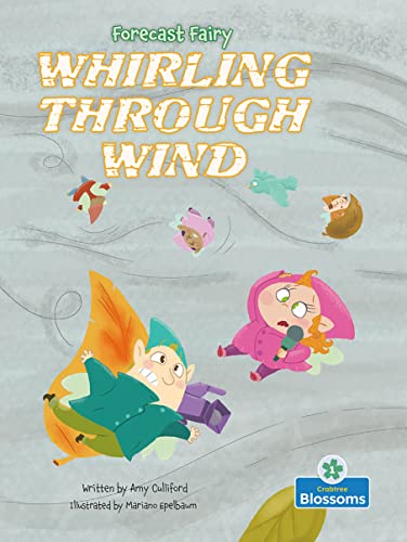 Book cover featuring colorful fairies tumbling in a windy landscape.