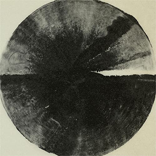 Black and white abstract circular image, resembling a stormy horizon.