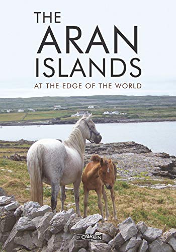 Book cover featuring a white horse and foal in a grassy landscape.