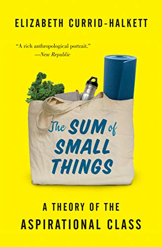 Book cover: "The Sum of Small Things" with tote bag, yoga mat, and kale.