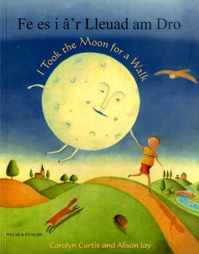 Book cover: boy walking a smiling moon through a green landscape.