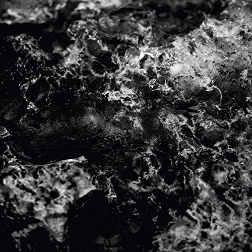 Black and white abstract image resembling decaying organic matter.