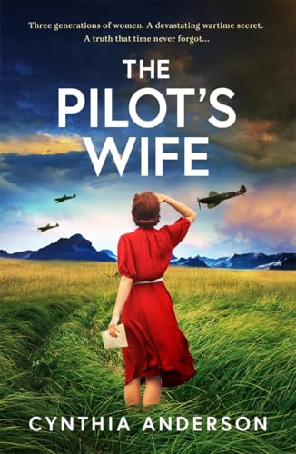Book cover: woman in red field, wartime planes in sky.