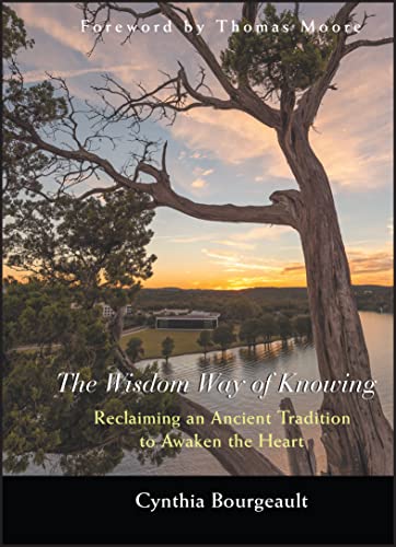 Book cover with a tree silhouetted against a sunset landscape.