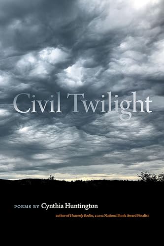 Book cover: stormy sky with title "Civil Twilight" and author's name.