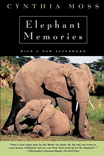 Book cover featuring a large adult elephant sheltering a baby elephant.