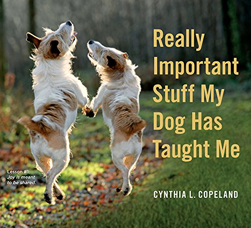 Two white and brown dogs jumping playfully in a park on a book cover.
