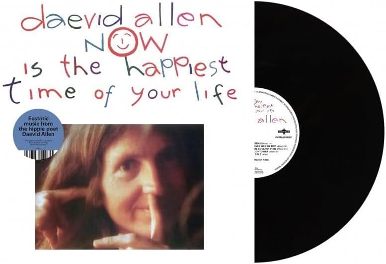 Daevid Allen vinyl record with album cover featuring a portrait.