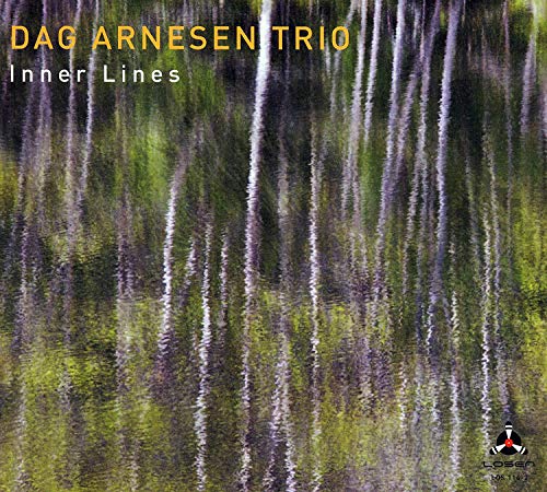 Dag Arnesen Trio album cover featuring abstract green and white pattern with yellow and white text.