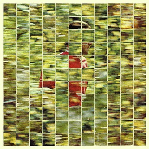 A grid of squares showing a blurred figure in red against a green background.
