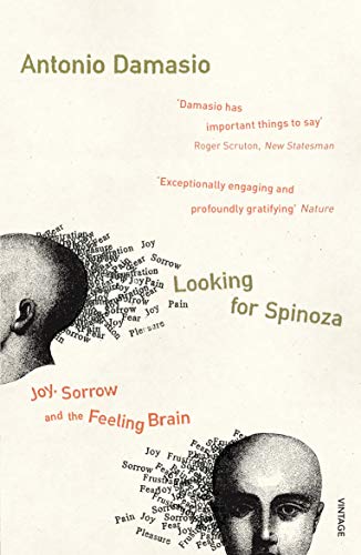 Book cover: "Looking for Spinoza" by Antonio Damasio, with head illustrations.