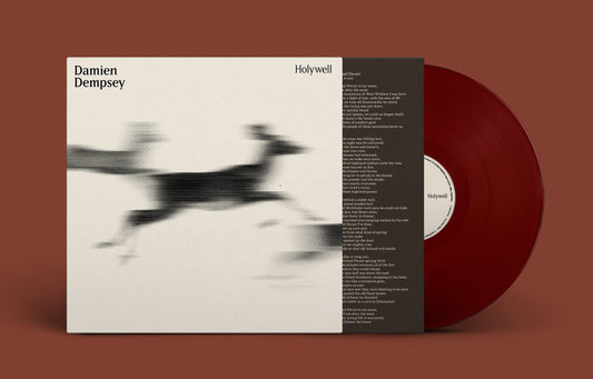 Damien Dempsey Holywell album cover with lyrics and a dark red vinyl record.