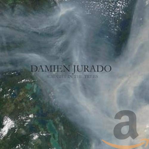 CD cover for Damien Jurado’s “Caught In The Trees” with misty trees.