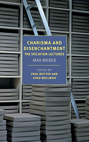 Blue book cover with white text, stacked amongst many gray books.