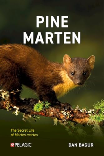 Book cover featuring a pine marten on a mossy branch.