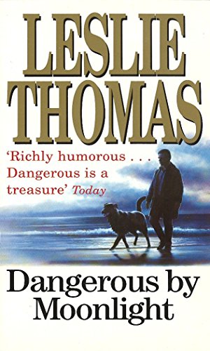Book cover: man and dog walking on a beach at dusk.