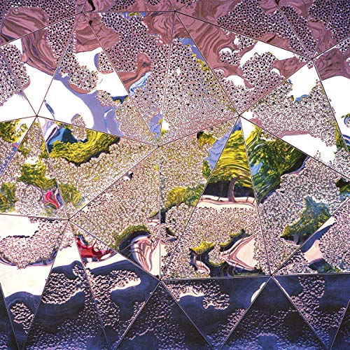 Abstract album cover with fragmented, reflective floral and landscape imagery.