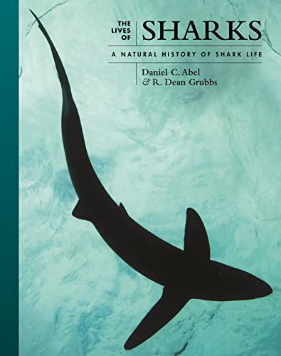 Book cover featuring a shark’s silhouette against a teal, watery background.