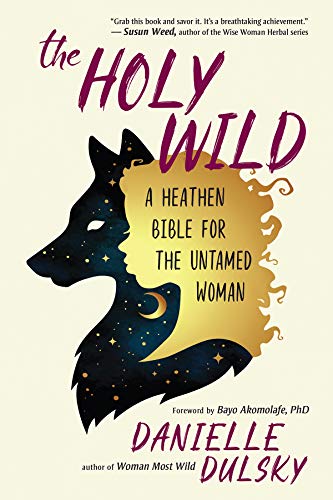 Book cover: "The Holy Wild" with a fox-woman silhouette and starry night.