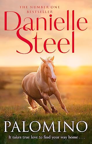 Book cover: a palomino horse running in a grassy field at sunset.