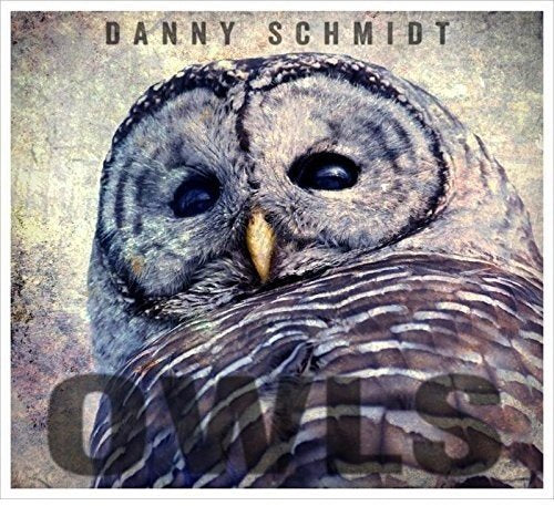 "Album cover featuring a close-up of a gray owl with dark eyes."