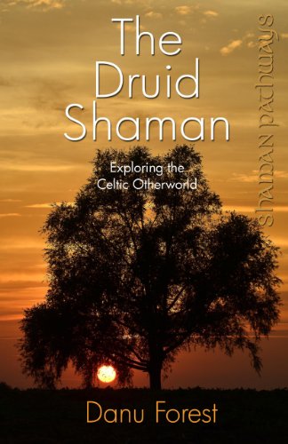 Book cover: silhouetted tree against a golden sunset, title "The Druid Shaman".